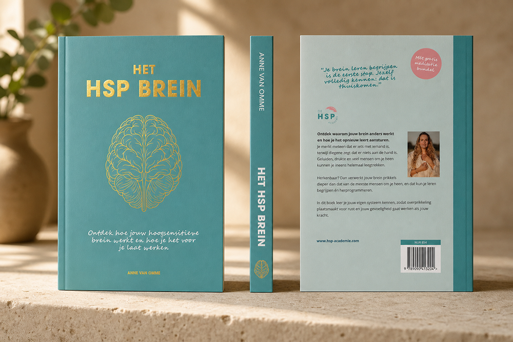 Boek Het HSP brein - De HSP Academie - Anne van Omme